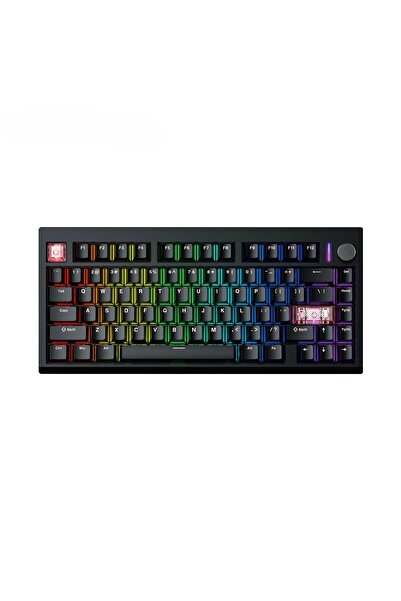 Fantech MK921 MAXFIT8 Black White Switch Hotswap RGB Kablosuz İngilizce Mekan...