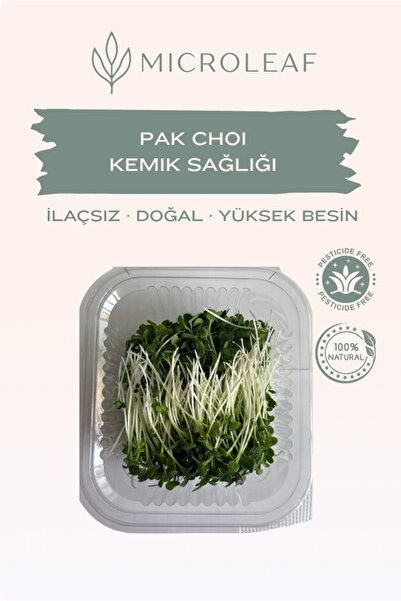 Pak Choi Mikro Yeşillik - K Vitamini Antioksidan Koruma Protokolü