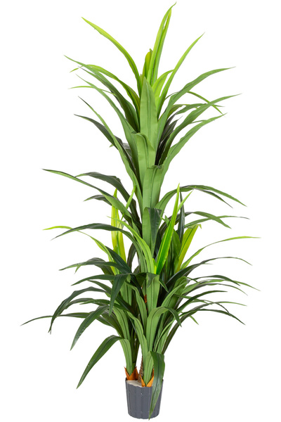 Herdekora Yapay Dracena Gerçek Dokulu 97 Yaprak Yeşil 160 Cm.
