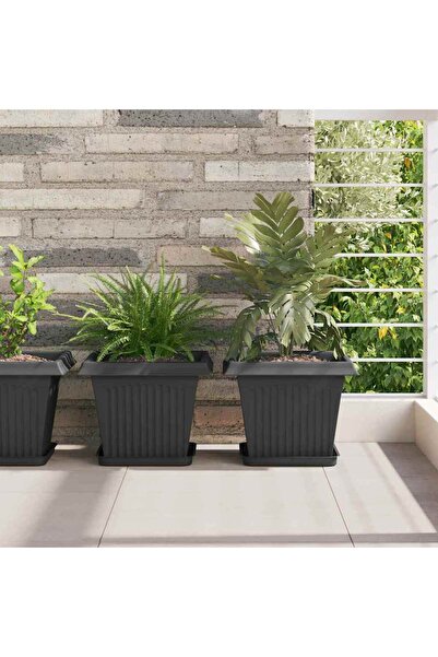 vidaxl Tava Patrata pentru Flori 6 pcs Negru 21 x 21 x 2 cm Plastic