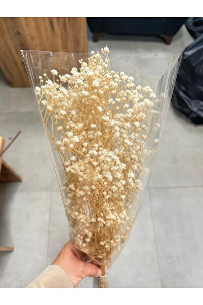 Handmade Krem rengi kuru çiçek cipso gerçek soklanmış cipsodan tasarım dekora...