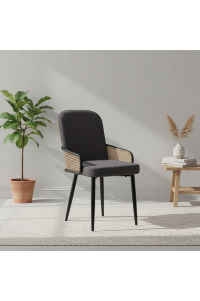 Ebticar Modern Dark Grey Dining Chair