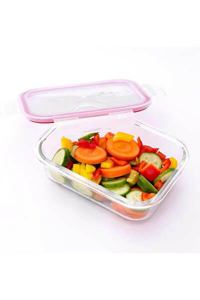 DELCASA DC2377 Airtight High Borosilicate Glass Container, 630 ml Capacity, Transparent