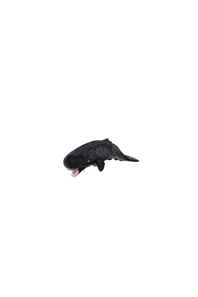 Asya Oyuncak A8155-Bs007 Kt Marine Animals 12 Asst