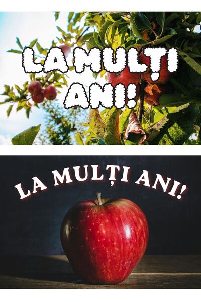 OEM Set 2x Felicitari "La Multi Ani" Mere, Carton 250g, 20x14 cm
