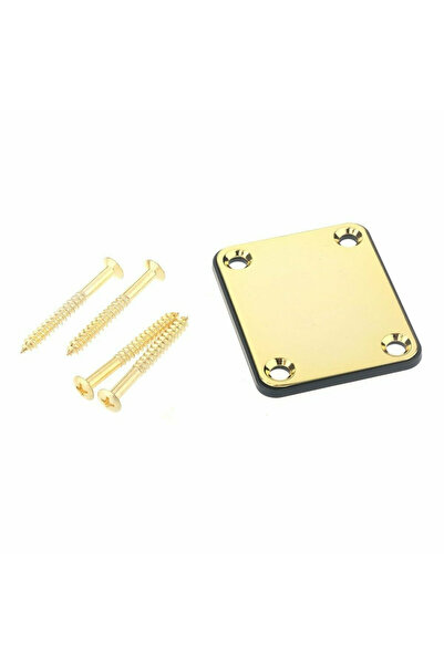 choice2 Gold Electric Guitar Neck Plate With Screw for Fender Stratocaster Te...
