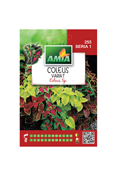 Amia Seminte de flori Coleus amestec Amia, 0,15 g