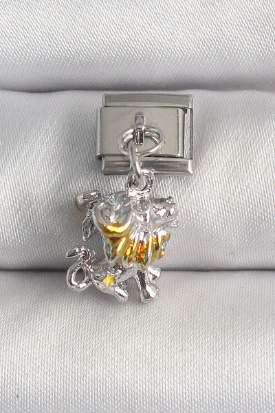 MEKs 316L Steel Silver Color Sallant Aslan Model Nomination Charm 5886 - Hep-...