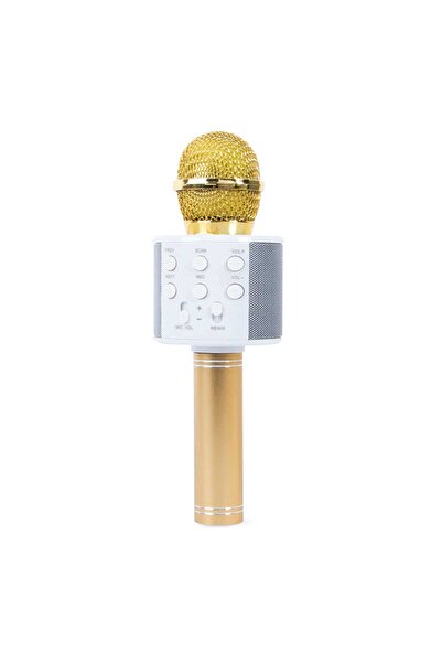 iends Karaoke Mic With Speaker KO10