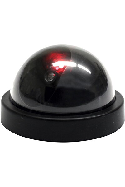 Somogyi Camera falsa tip dome