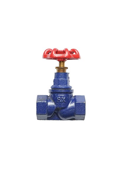 Z-Tools Robinet din fontă, trecere filetată de 1 ", / EXT9711