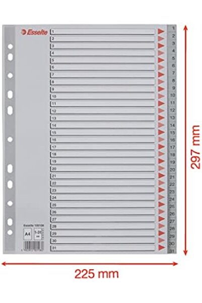 Yıldızan Separator cu numere TAMGÜN 1-31, A4, Gri, 100108 TAMGÜN 1159648