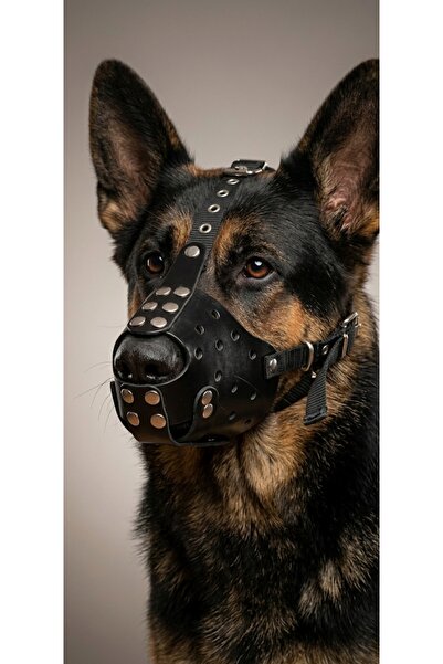 Lina DERİ KÖPEK AĞIZLIĞI