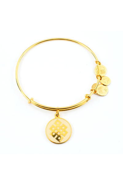 Alex and Ani Bratara Metal A14EB52YG