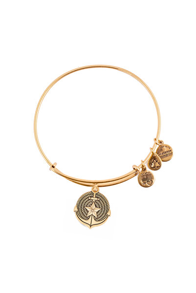 Alex and Ani Bratara Metal A16EB27RG