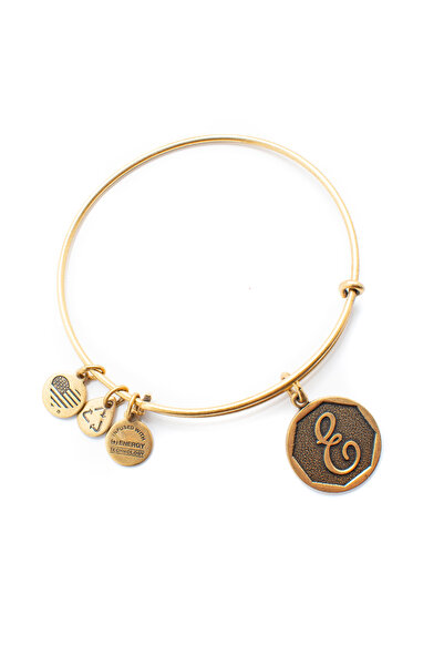 Alex and Ani Bratara Metal A13EB14EG