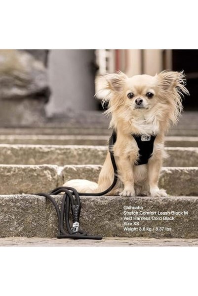 Yıldızan zkra shop Curli Stretch Leash Ruby M 1053162