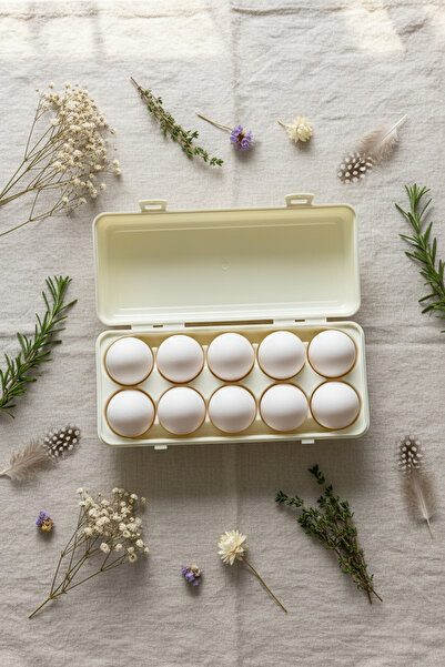 YAZICI 10-Piece Egg Storage Container with Lid Bpa Free Refrigerator Organize...