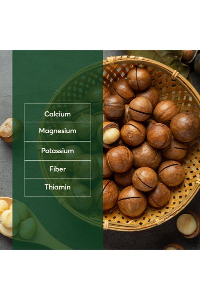 The Caphe Vietnam Macadamia Nuts 500g | In Shell | Dried & Unsalted | Natural Buttery Macadamia | Large Size