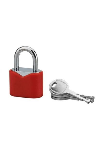 Serrurerie de Picardie Oval padlock 30 mm steel disc, 3 keys - SP