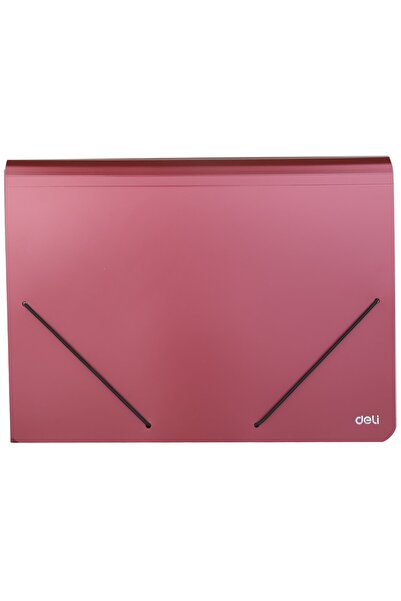 Deli Dosar elastic din plastic cu 12 separatoare