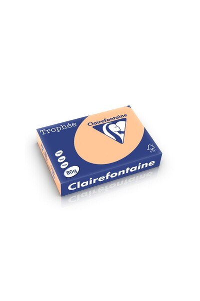 Clairefontaine Hârtie A4 80 g/m² culoare palidă 500 coli/reamă caisă