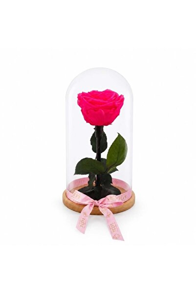 velve Trandafir criogenat premium XL roz fuchsia in cupola de sticla, inaltim...