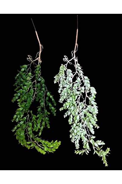 OEM Creanga Frunze Decorativa 2/set 04 Verde Inchis