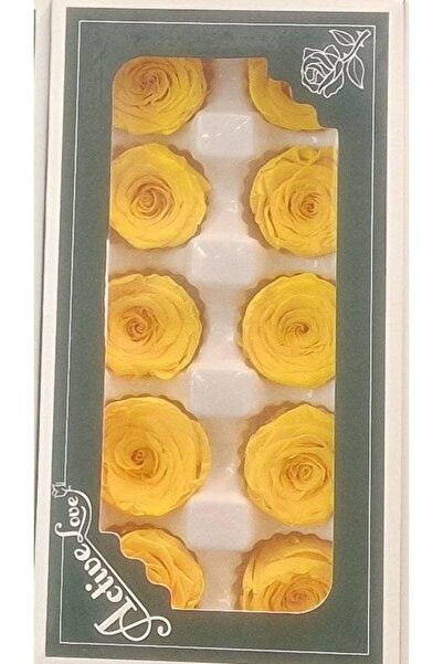 OEM Trandafiri criogenati, 10 bucati/cutie, diametru 5 cm Galben