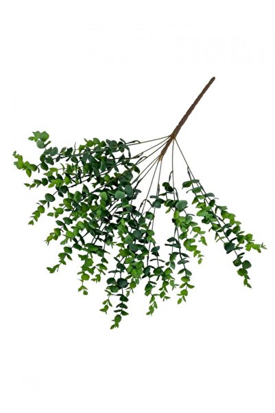 OEM Flori Artificiale Buchet Dischidia Nummularia