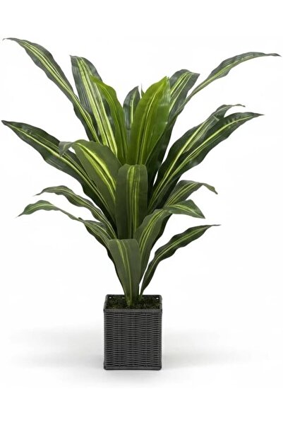 Garvee Faux Dracaena Fragrans Plant (98cmH) | Artificial Brazilian Iron Tree ...