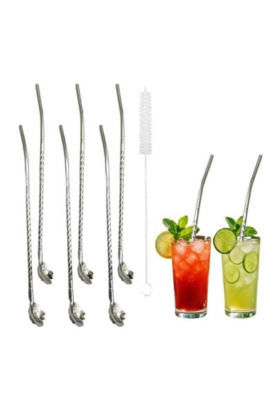 SOBHYS Premium Stainless Steel Spoon Straws Set, 304 Grade Steel, 21.5 cm Len...