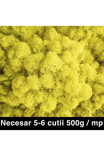 Roberto Rossi Licheni curatati si fara radacina conservati 500g NET, calitate...