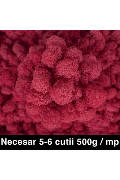 Roberto Rossi Licheni curatati si fara radacina conservati 500g NET, calitate...
