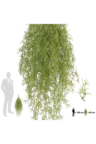 Roberto Rossi Planta curgatoare Long hair (tillandsia) 85 cm verde
