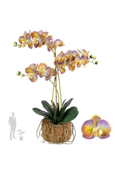 Roberto Rossi Orhidee artificiala mov cu verde cu aspect H64 cm cu 3 tulpini