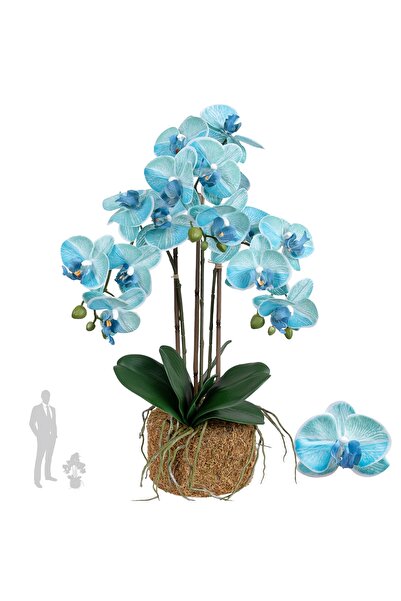 Roberto Rossi Orhidee artificiala albastru turquoise cu aspect H58 cm cu 3 tu...