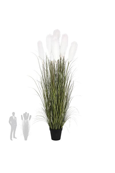 Roberto Rossi Iarba artificiala Onion 180 cm cu 9 flori crem de pampas