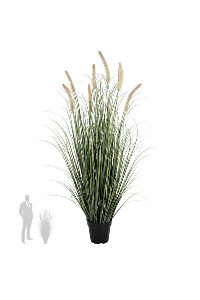 Roberto Rossi Iarba artificiala Onion Cattail 120 cm cu 8 flori roz