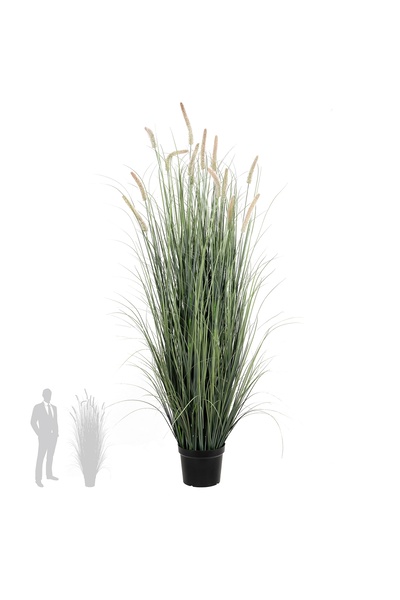 Roberto Rossi Iarba artificiala Onion Cattail 180 cm cu 14 flori roz roz