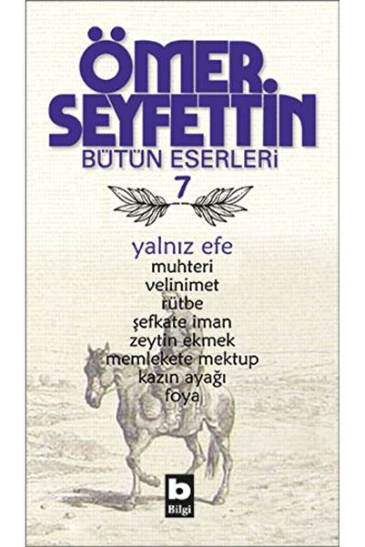 Bilgi Yayınevi Yalnız Efe