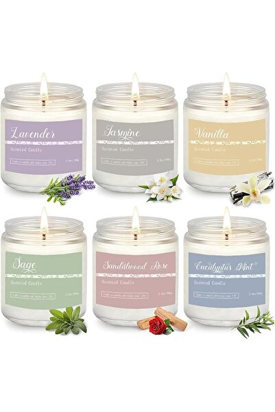 The Bros 6PC Holiday Scented Candle Gift Set，Natural Soy Candles for Home,Chr...