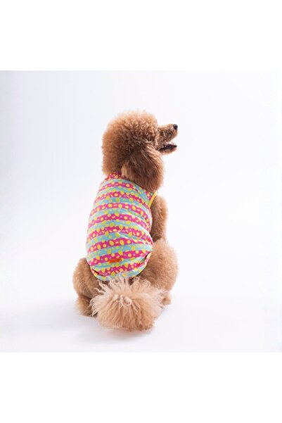Pawstar Lemon Party Tişört Kedi Köpek Tişörtü-Kedi Köpek Kıyafeti