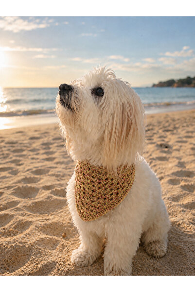 lunera Hand Knitted Ebruli Dog Bandana 100% Cotton Yellow Green Pink Toned Me...