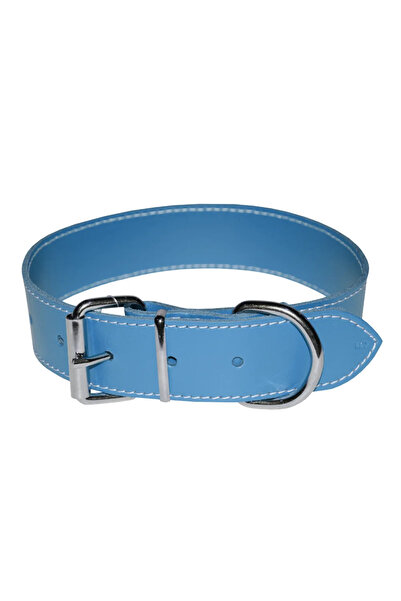 4dog Zgardă de câine din piele albastră 20 x 450 mm, Mărimea 2