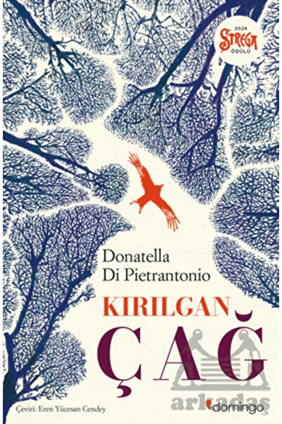 Domingo Yayınevi Kırılgan Çağ