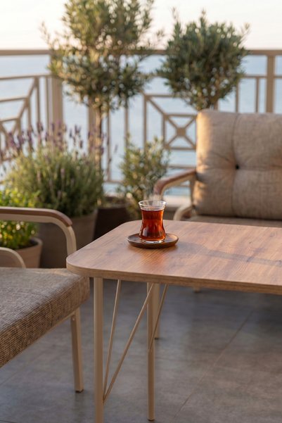 Canisa Ekon Serisi 1. Sınf 3+1+1 ve 1 Adet Orta Sehpa 2 Yastıklı Cappucino İskeletli Bahçe Balkon Oturma Koltuk Takımı