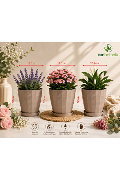 CANBOTANİK 3 adet Mocha Renkli Desenli Dekoratif saksı