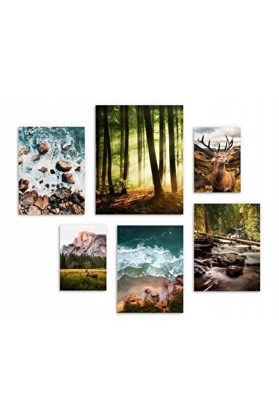 Naklejkomania Postere XXL pentru peretele livingului, Set 6 postere padure, m...
