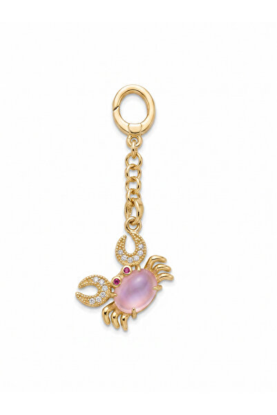Rüzgar Alaz Bikini Charm Yengeç